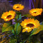 Iluminación LED de Girasol Mágico