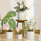 RiegoFlor — Set de 3 Bolas de Riego con Forma de Tulipán