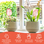 RiegoFlor — Set de 3 Bolas de Riego con Forma de Tulipán