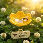 Encantador Lugar de Agua en Forma de Flor