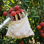 Recogedor de Frutas con Bolsa de Recogida