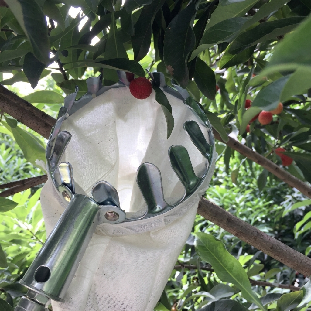 Recogedor de Frutas con Bolsa de Recogida