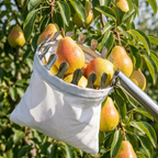 Recogedor de Frutas con Bolsa de Recogida