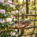 Baño de Aves Vintage & Comedero