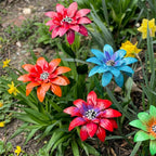 Transforma tu jardín en un acogedor mar de flores