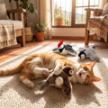 Gato jugando feliz con el set de 3 pajaros