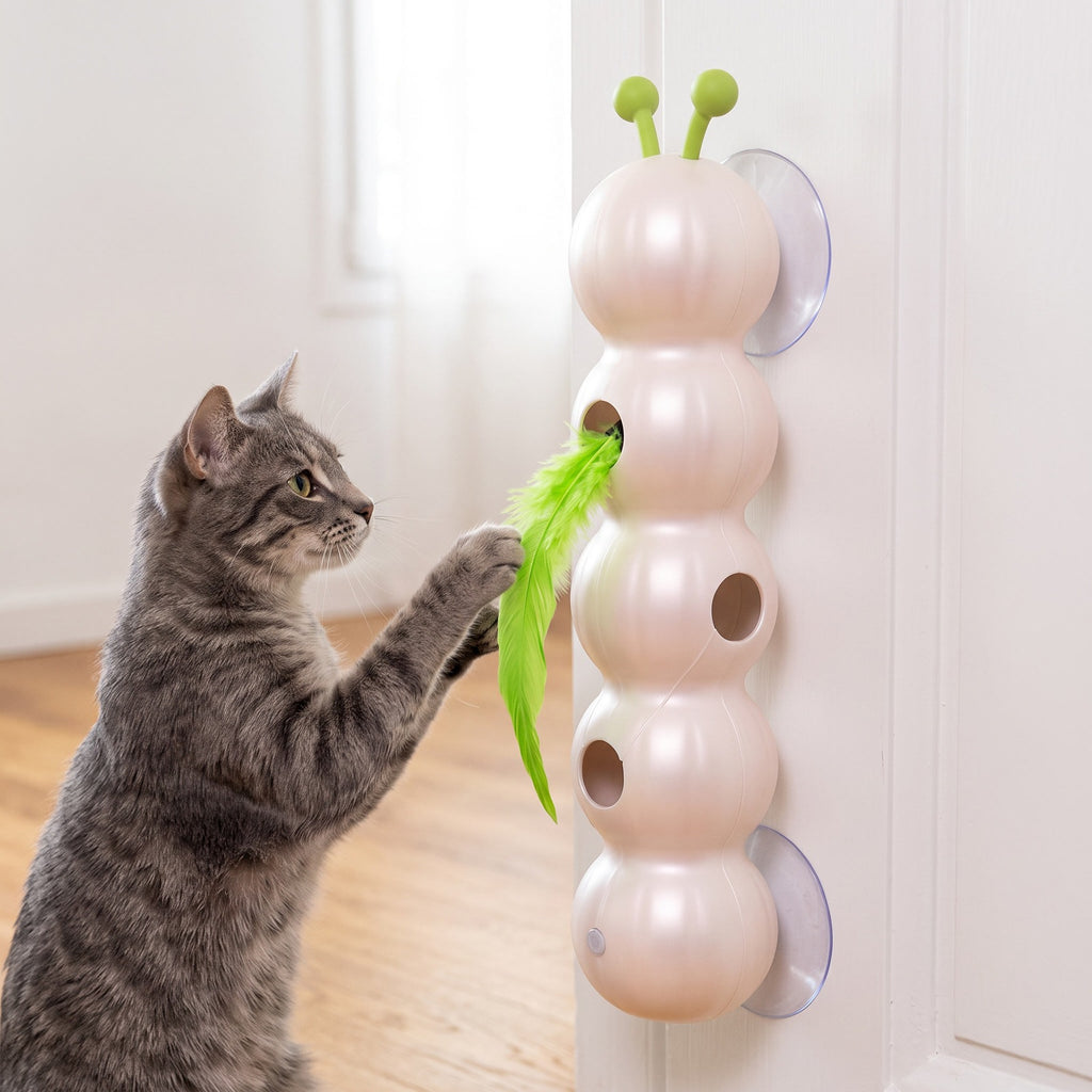 Gato jugando con GatoOruga pegado al marco de una puerta